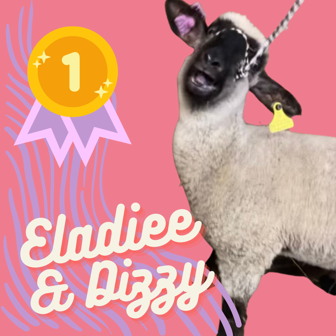 Show Animal Spotlight: Eladiee & Dizzy