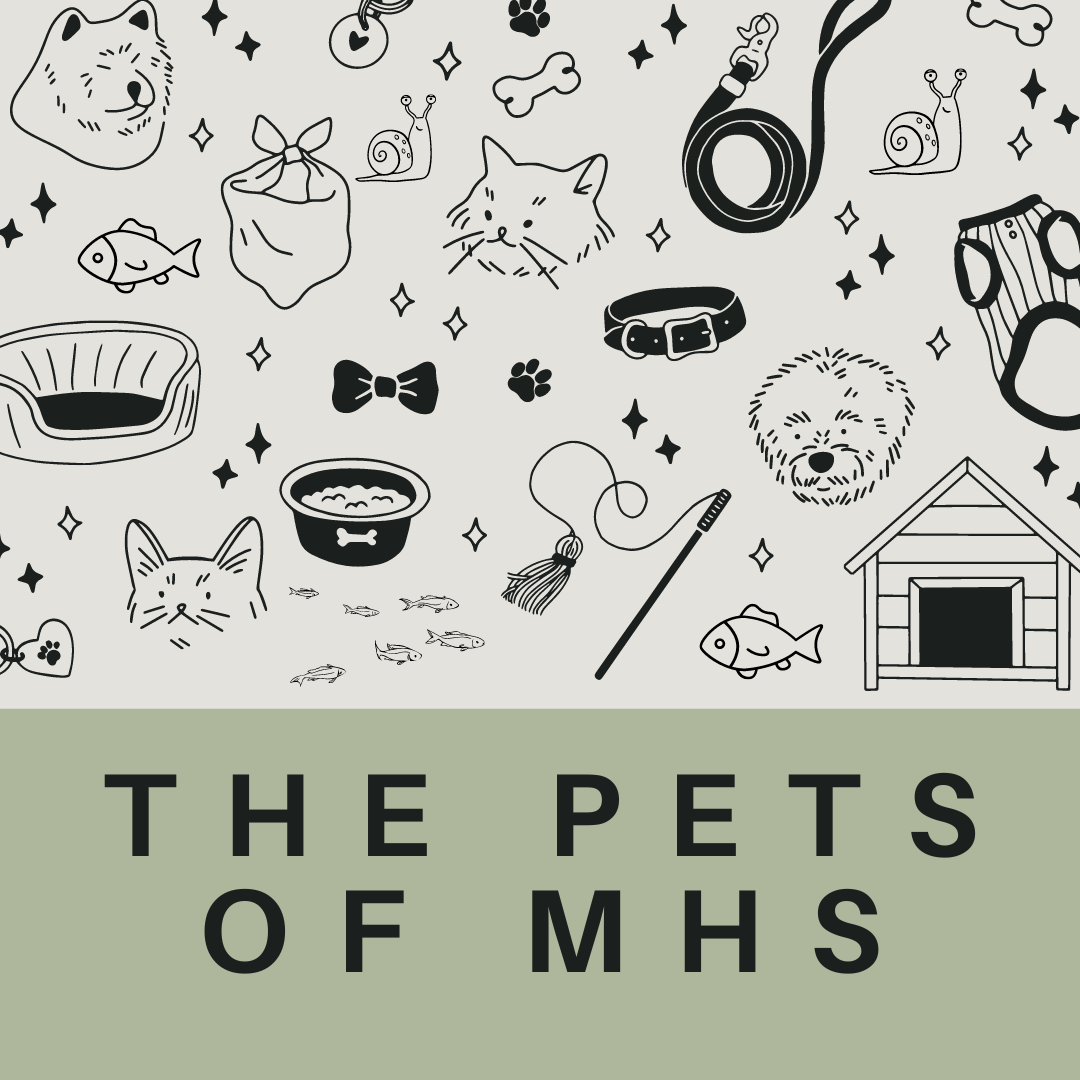 Tails, Scales, and Whiskers: The Adventures of Our Schools Pets!
