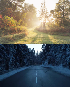 Summer vs. Winter