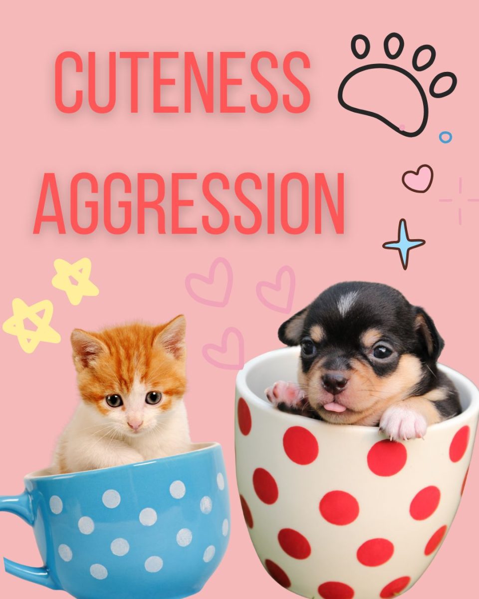 Why do we get cuteness aggression? Are we psychopaths?