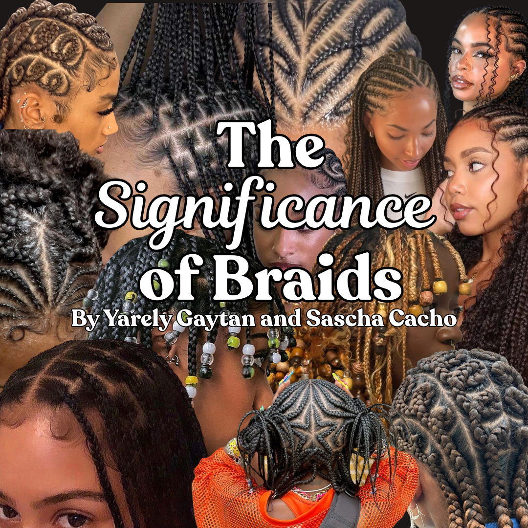 The Significance of Braids